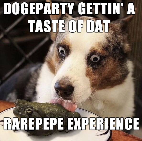 rare-pepe-experience